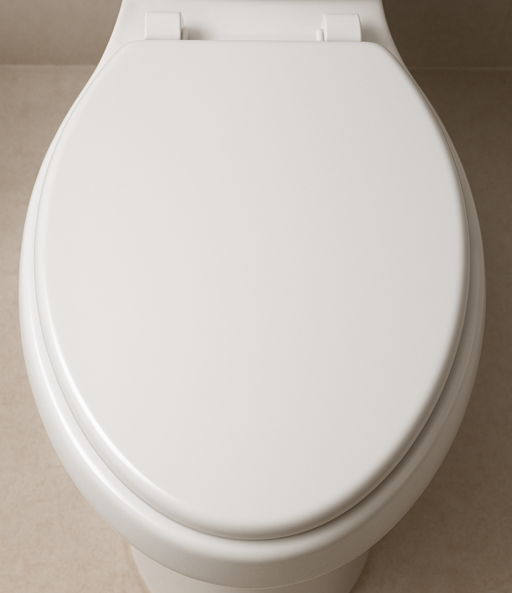 Lunettes de toilette en plastique